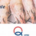 LA AUTÉNTICA GAMBA DE HUELVA VUELVE AL SALÓN GOURMETS DE LA MANO DE LONJA DE AYAMONTE Y EN VERSIÓN ONLINE