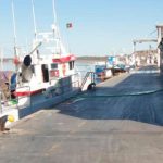 Puertos de Andalucía adjudica la redacción del proyecto de la nueva lonja de Ayamonte