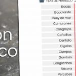 Tabla de tiempos y consejos para cocer el marisco correctamente