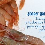 Cómo cocer Gamba Blanca de Huelva, tiempo, sal y todos los trucos para que te queden perfectas